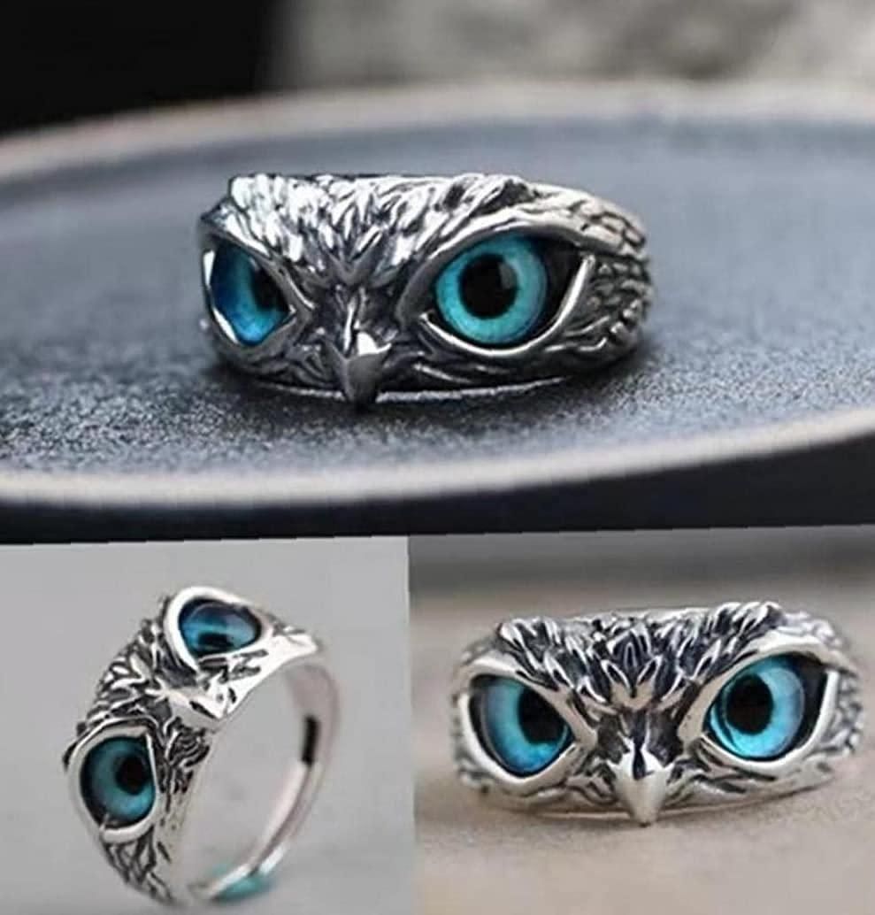 Enchanting Silver Adorned Owl Elegance